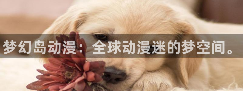 omofun自签：梦幻岛动漫：全球动漫迷的梦空间。