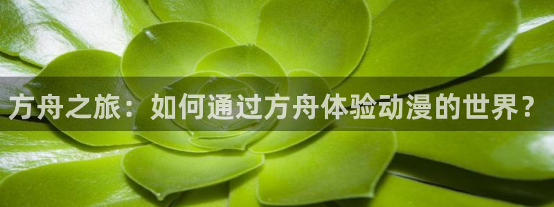 omofun吗：方舟之旅：如何通过方舟体验动漫的世界？