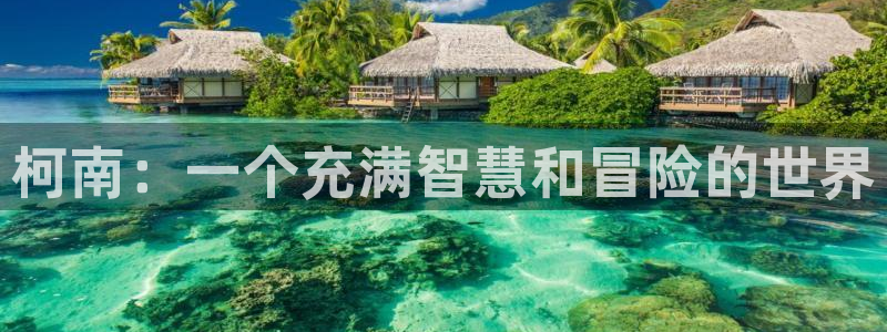 omofun是什么：柯南：一个充满智慧和冒险的世界