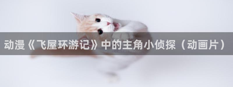 omofun动漫动画：动漫《飞屋环游记》中的主角小侦探（动画片）